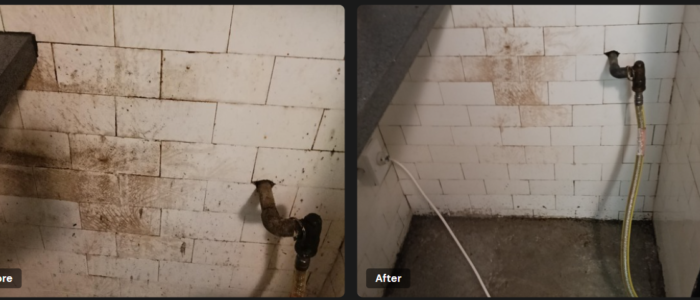 Stain removal before and after Stain removal services in Tawa Wellington by FreshFix Cleaning Services