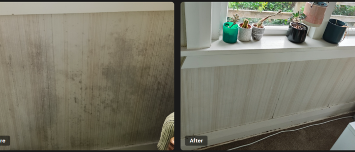 Mould removal wall before and after Mould removal services in Tawa Wellington by FreshFix Cleaning Services